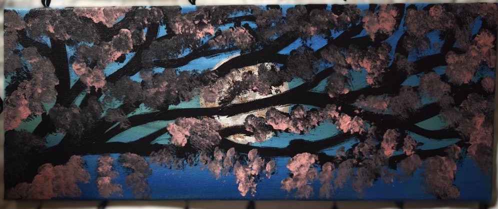 20 x 50 cm