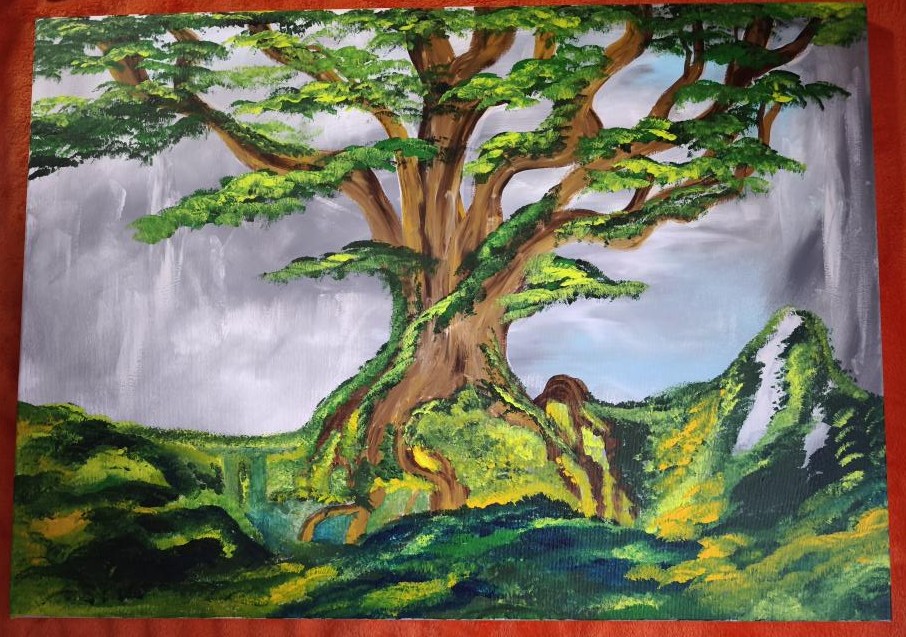 50 x 70 cm